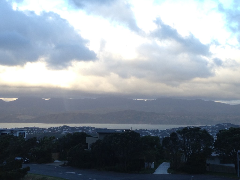 panorama Wellington