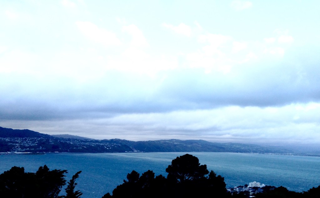 panorama Wellington