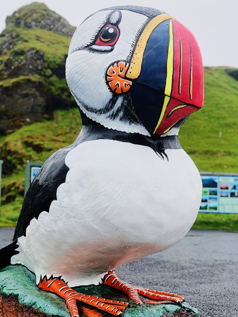 islanda 2018 puffin