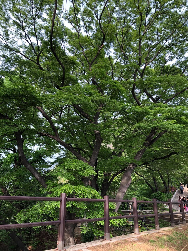 namsan park seul corea del sud